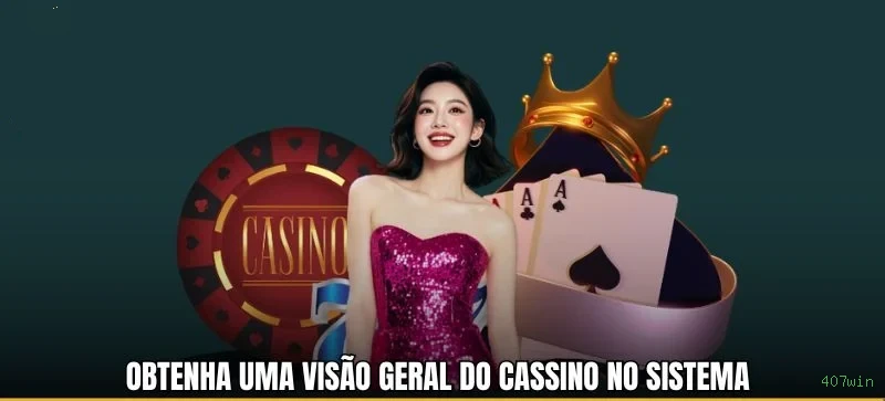 Programa VIP 407win